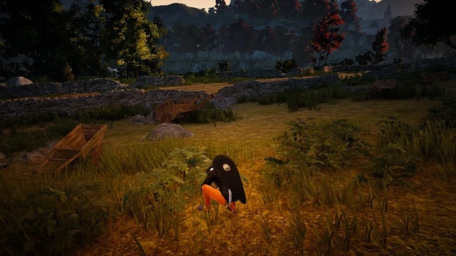 Зарабатываем на сборе в Black Desert
