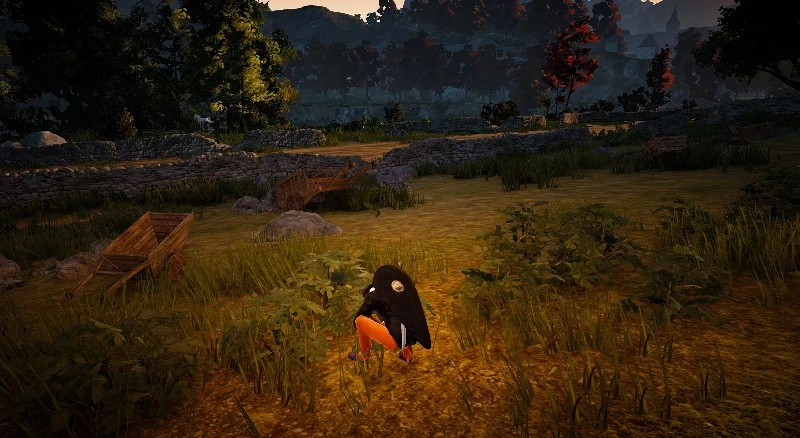 Зарабатываем на сборе в Black Desert