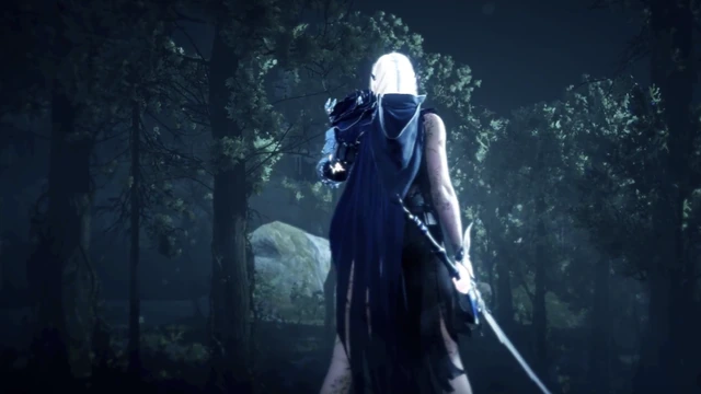 Dark Knight в Black Desert