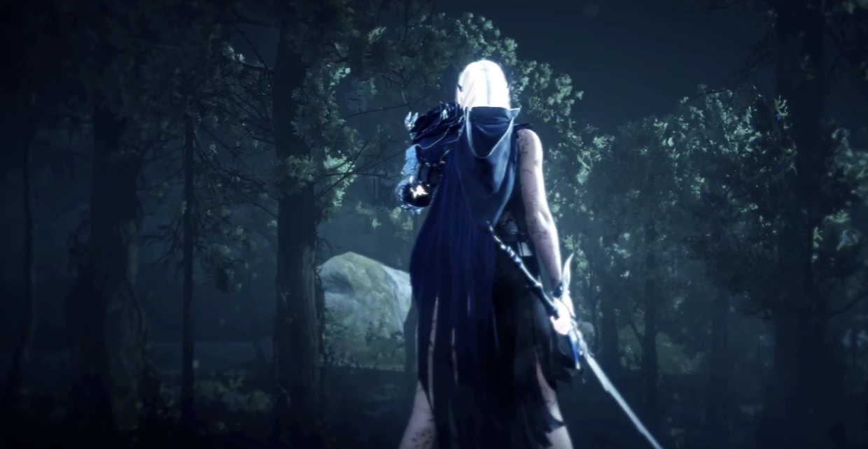 Dark Knight в Black Desert