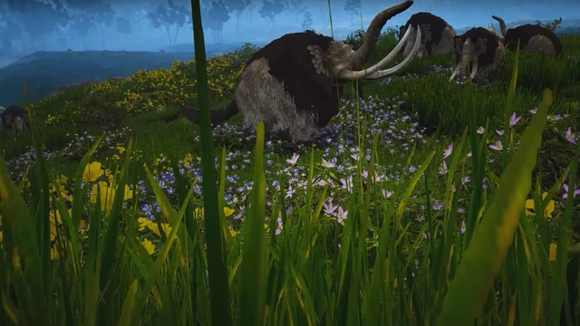 Новые подробности о Камасильве в Black Desert