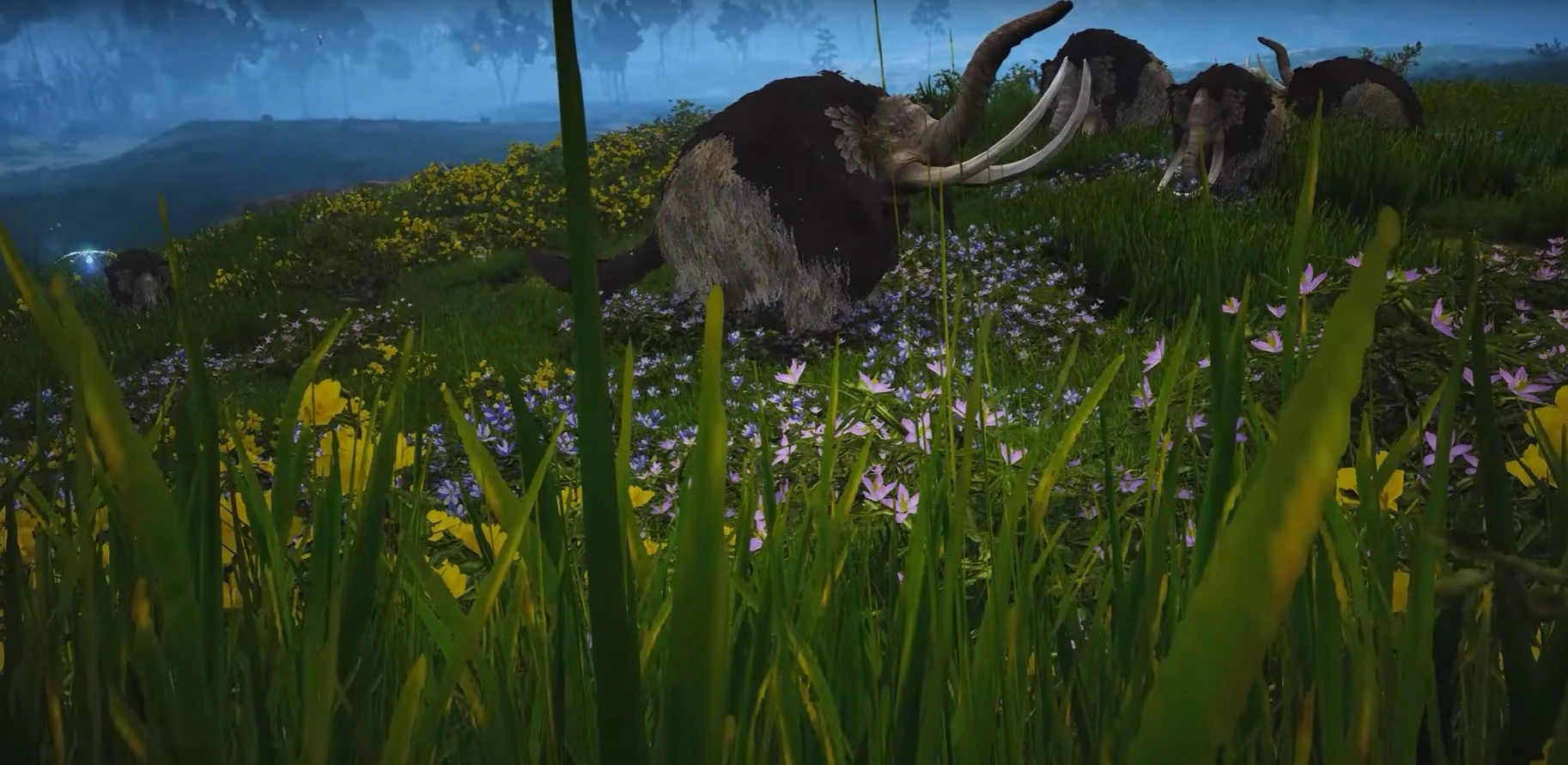 Новые подробности о Камасильве в Black Desert
