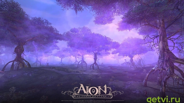 Aion: Типы игроков