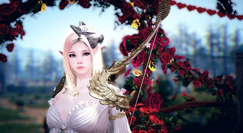 Преобразование феилов в советы Валкса в Black Desert
