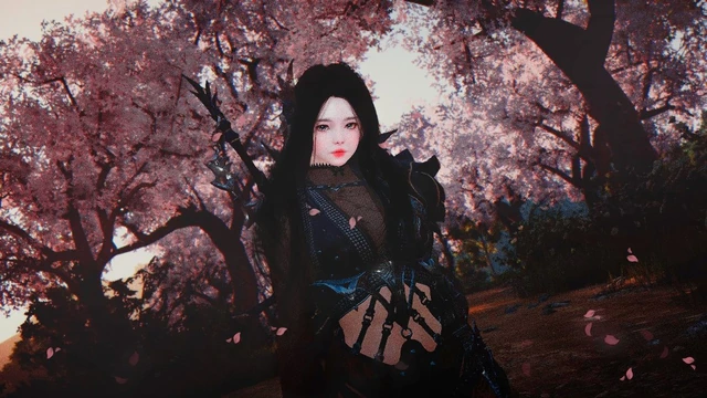 Изменения в Black Desert от 5 апреля   