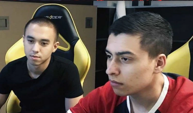 Как общаются Na`Vi в игре?