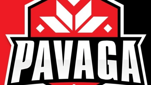 Pavaga Gaming одержала победу на Winter Masters