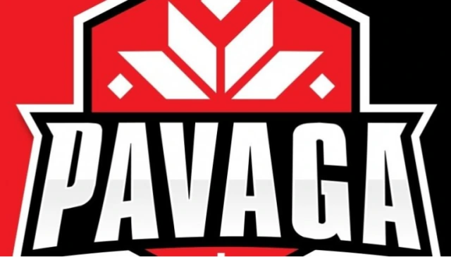 Pavaga Gaming одержала победу на Winter Masters