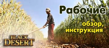 Рабочие в Black Desert. Инструкция к применению