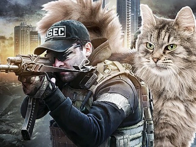 Кот саботировал трансляцию Escape from Tarkov