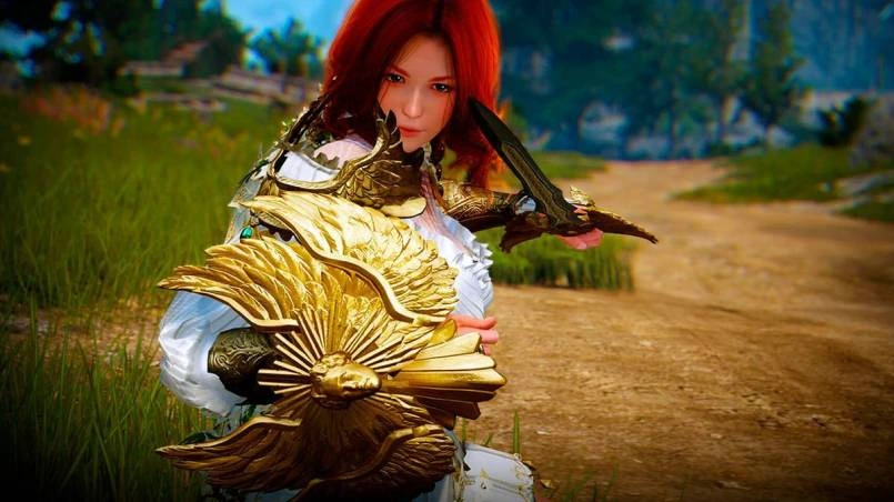 Гайд на Валькирию в Black Desert