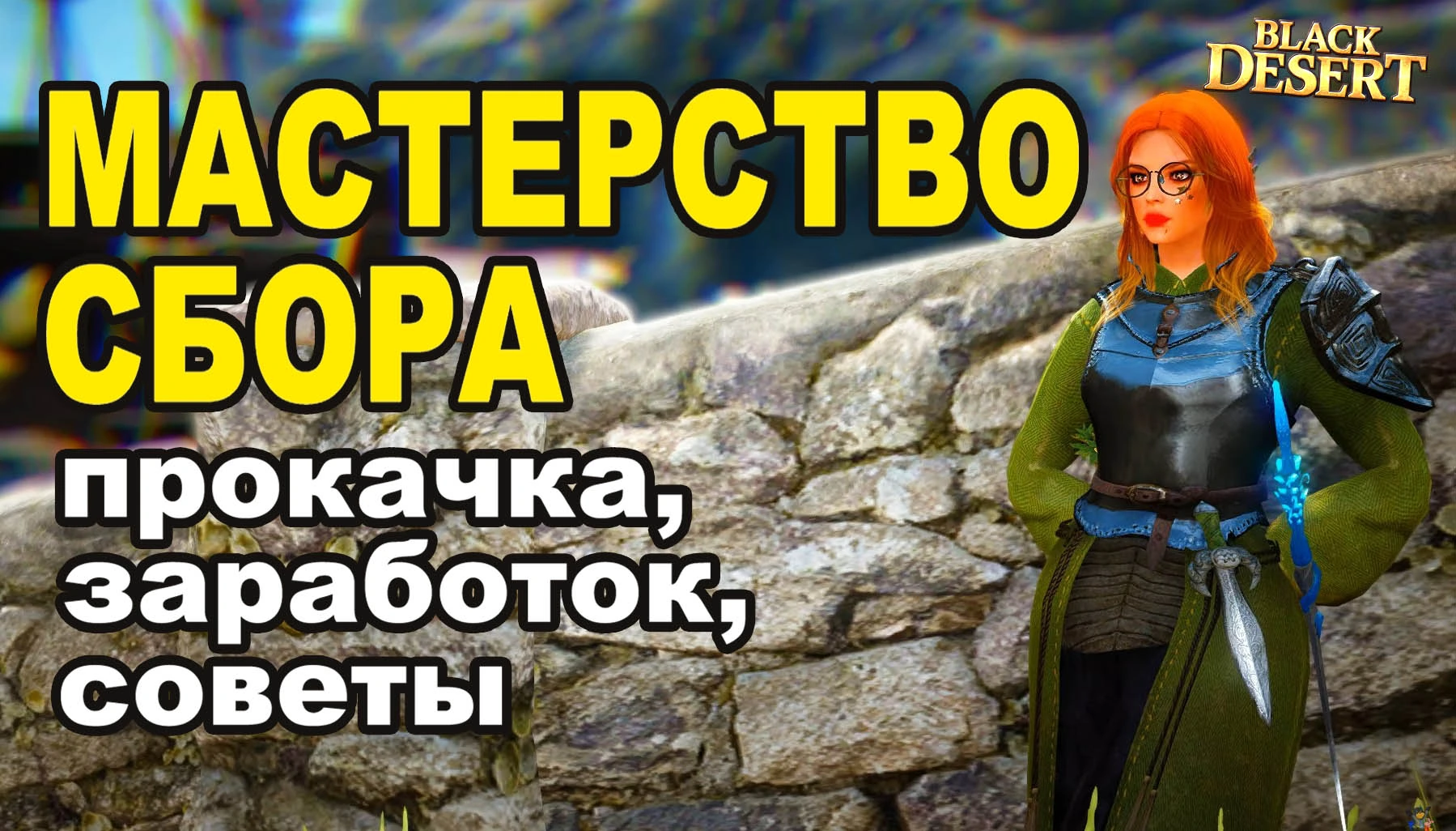 МАСТЕРСТВО СБОРА в Black Desert