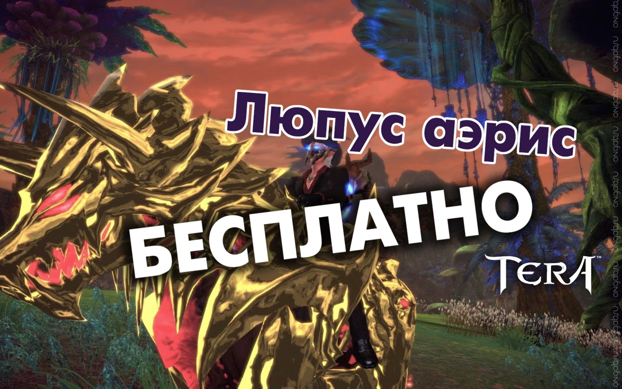Люпус аэрис в подарок