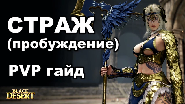 PVP гайд по стражу в пробуждении (guardian) BDO