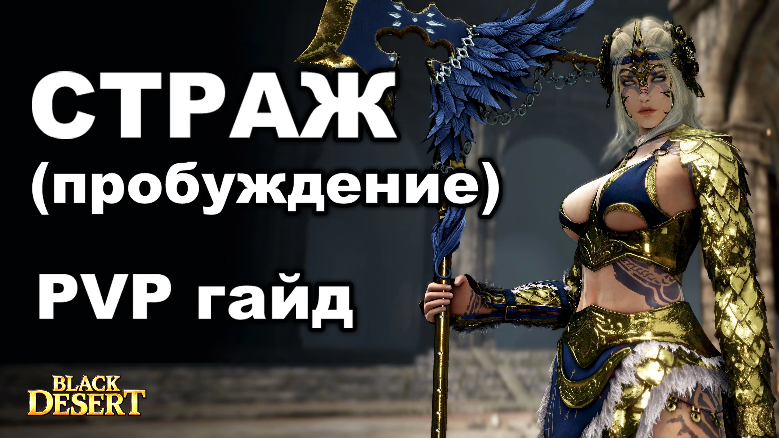 PVP гайд по стражу в пробуждении (guardian) BDO