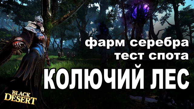 Колючий лес - Фарм 100+кк/час серебра в BDO