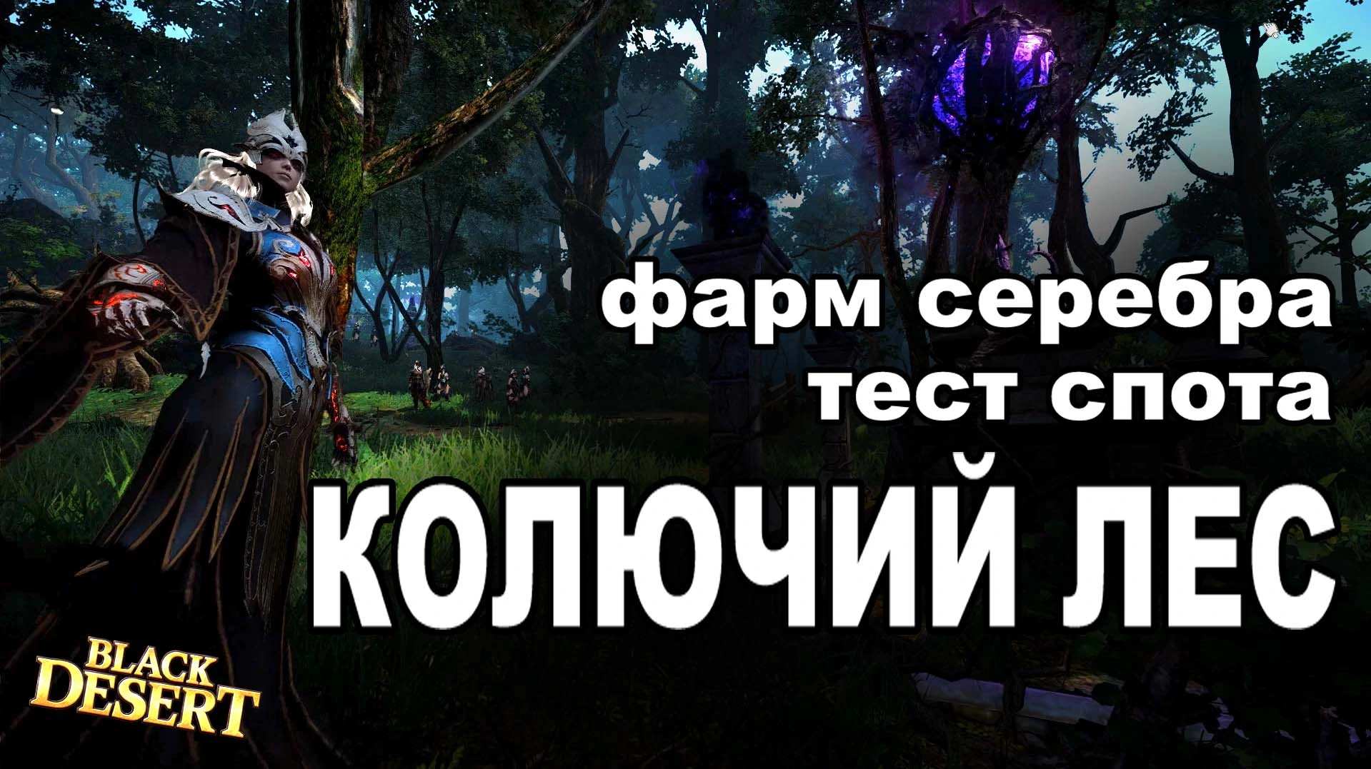 Колючий лес - Фарм 100+кк/час серебра в BDO