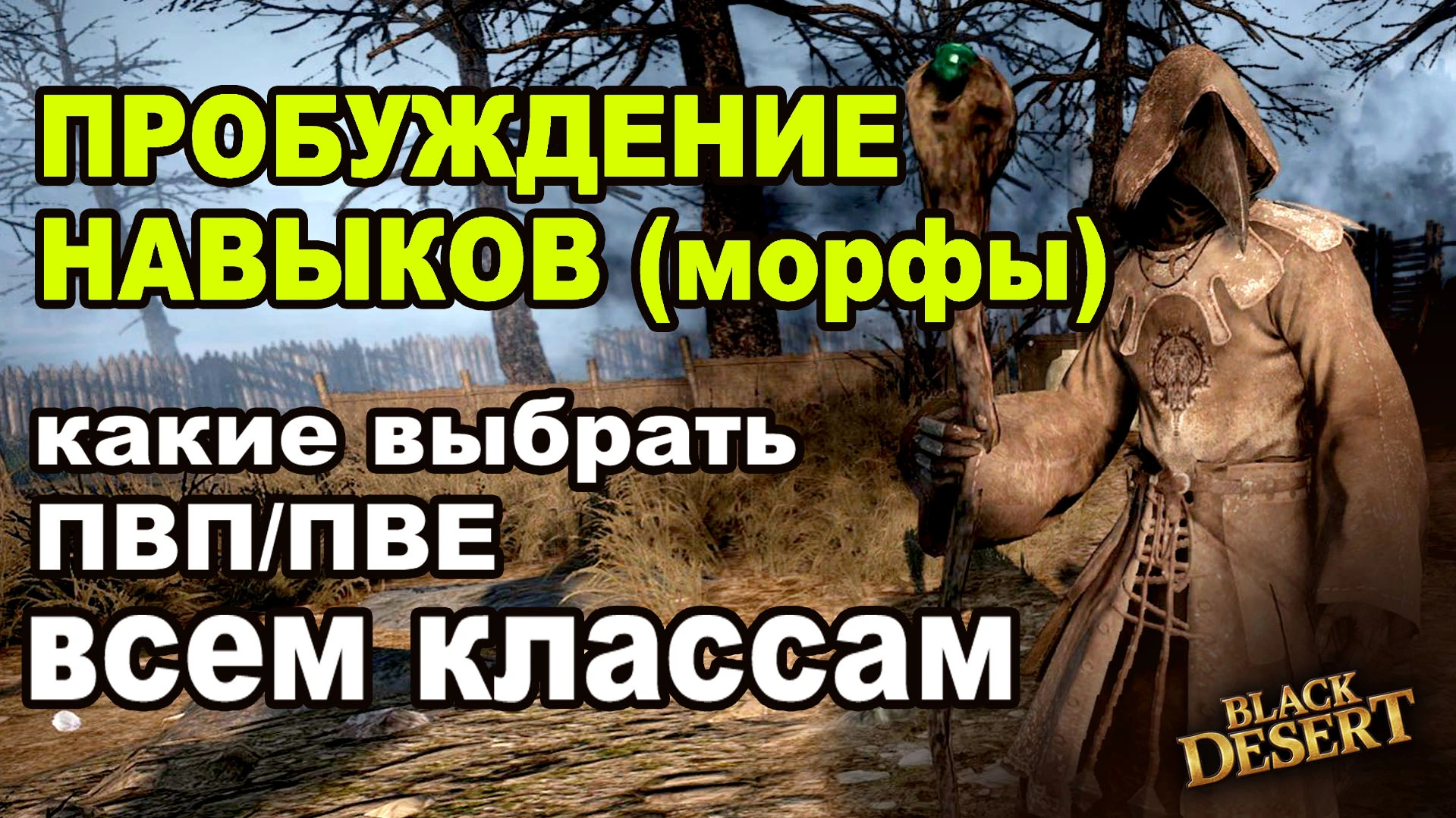 Пробуждение навыков (морф) для ПВП/ПВЕ в BDO ДЛЯ ВСЕХ КЛАССОВ