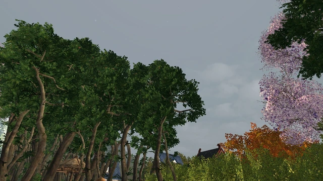 Archeage: Добываем искрящуюся древесину правильно