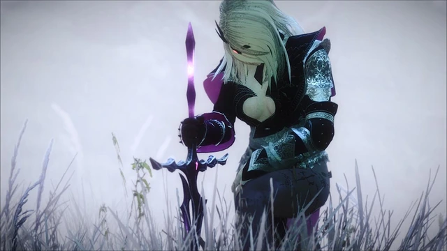 Прокачка опыта на квестах в Black Desert