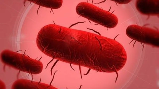 Авторы Plague Inc выпустили бесплатное дополнение The Cure