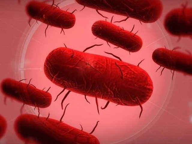 Авторы Plague Inc выпустили бесплатное дополнение The Cure