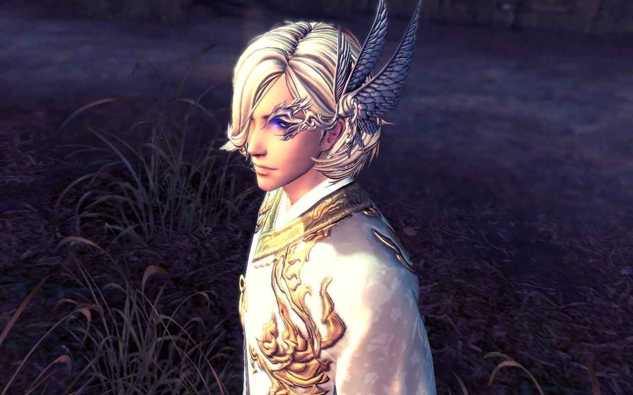 ЗБТ Blade and Soul в России продлится ровно месяц