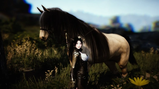 Обновление игрового магазина в Black Desert
