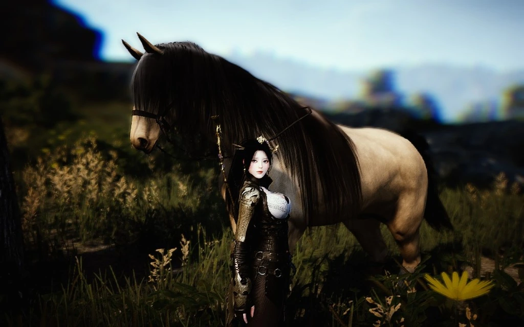 Обновление игрового магазина в Black Desert