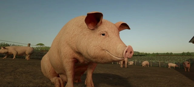 Коровы, свиньи и другие животные в трейлере Farming Simulator 22