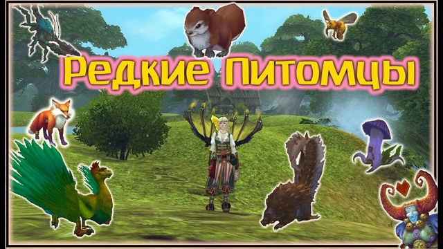 Питомцы и окрас питомцев в Аллодах
