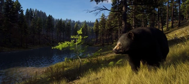 Релизный трейлер симулятора охотника Way of the Hunter