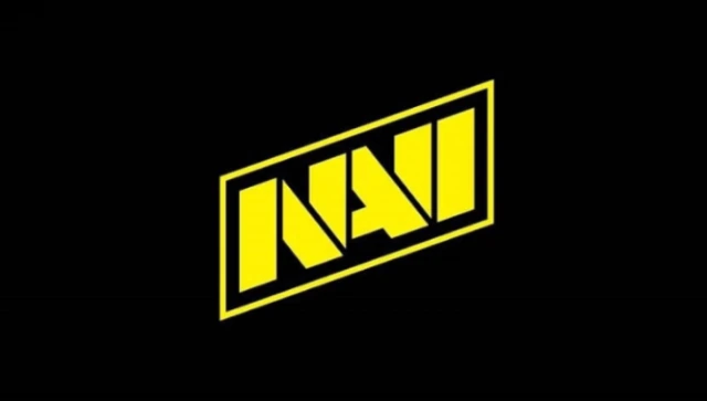 NAVI стала чемпионом PSL Summer Showdown по PUBG