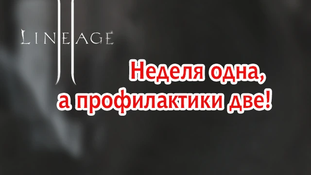Неделя одна, а профилактики две!